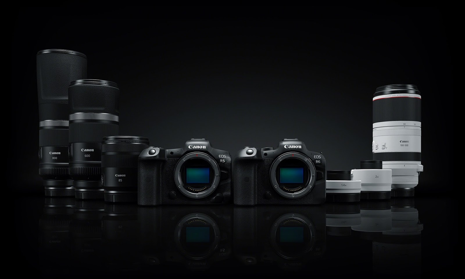 Michael Daniel Ho - The Wildlife Ho-tographer: New Canon Firmware