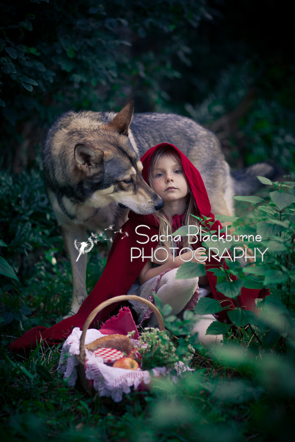 Little Red Riding Hood And The Wolf Photography