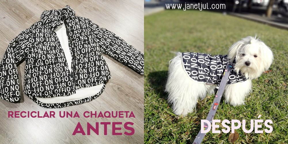 Jan et Jul, el blog. Abrigo para mi Bichón Maltés Coco