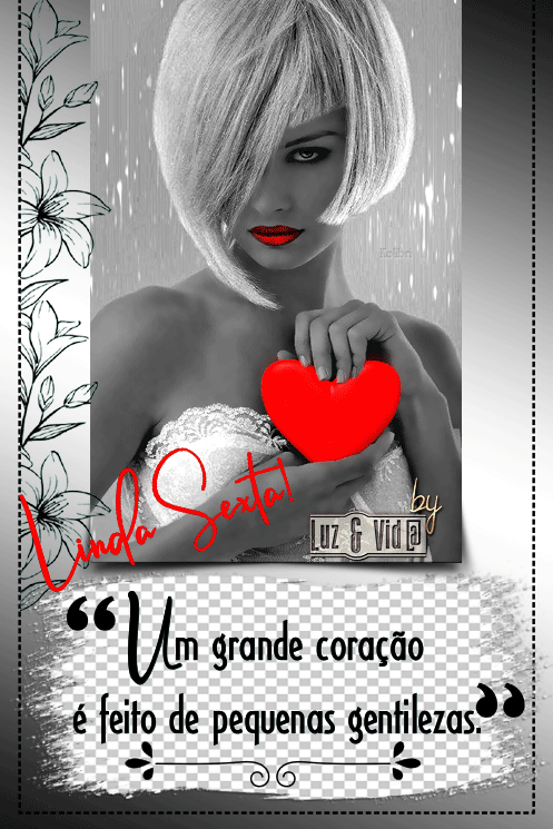 NOVO208-%2528MB%2529maryluz.gif