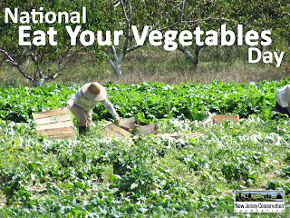National Eat Your Vegetables Day HD Pictures, Wallpapers