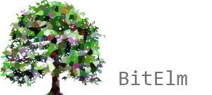 BitElm