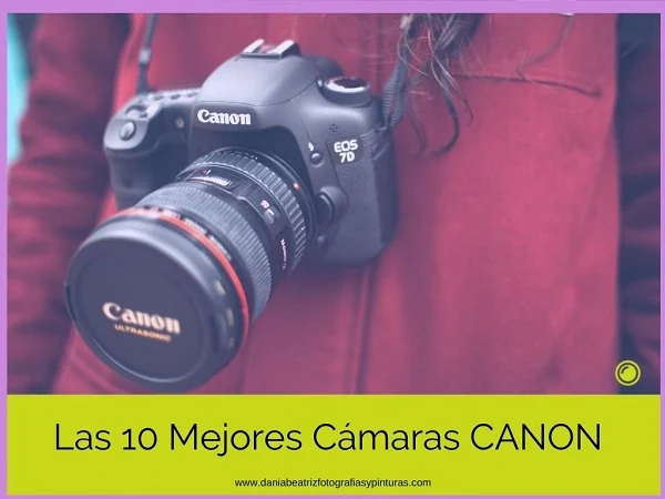 camaras-canon-profesionales-modelos