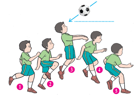 Nuansa Pendidikan Variasi Dan Kombinasi Gerak Dasar Dalam Permainan Sepak Bola Daring Penjas Kelas 6