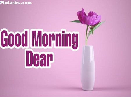 Good Morning Dear | 30 Good Morning My Dear Images Good Morning Dear | 30 Good Morning My Dear Images
