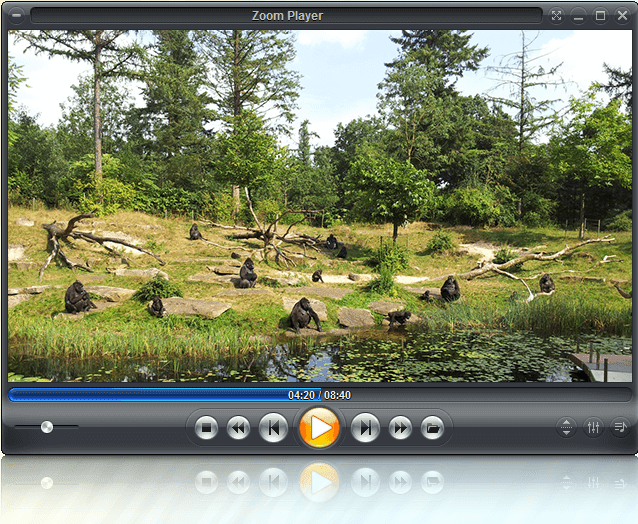 Zoom Player