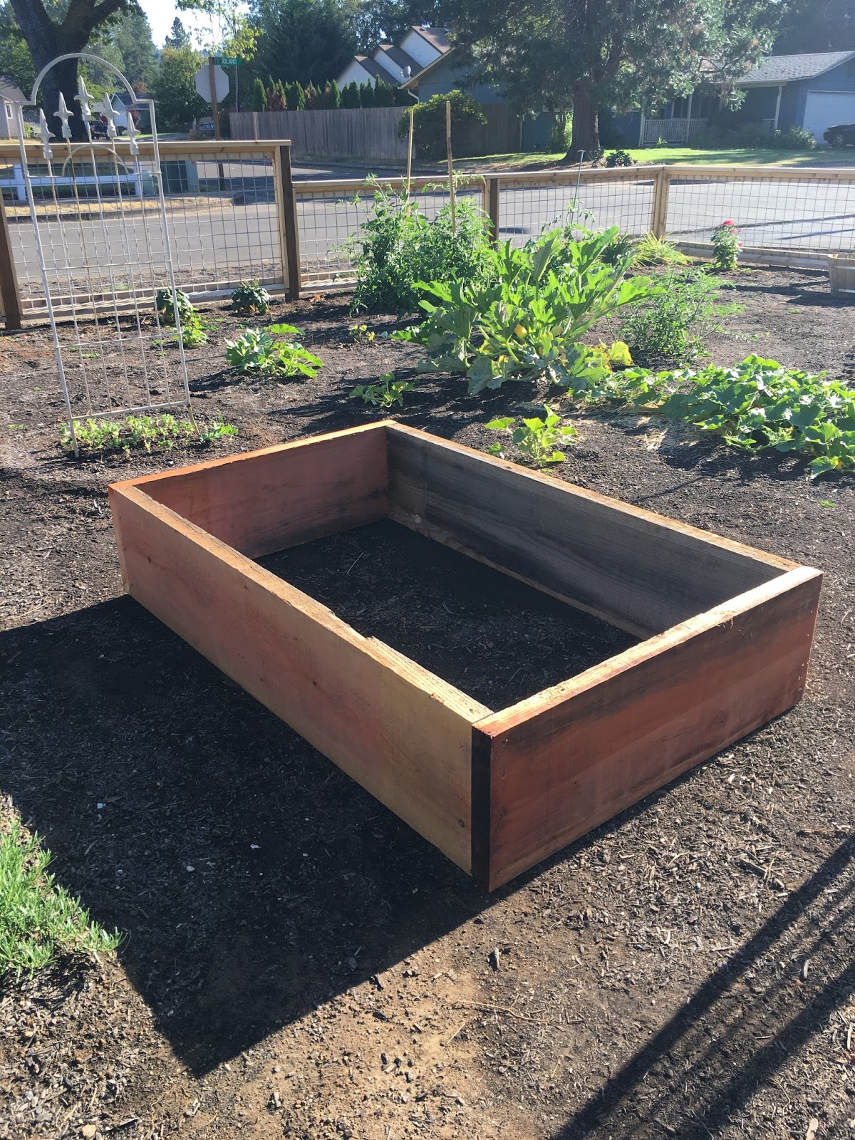 Georgia, Plain & Simple: Vegetable Gardening in My Front Yard