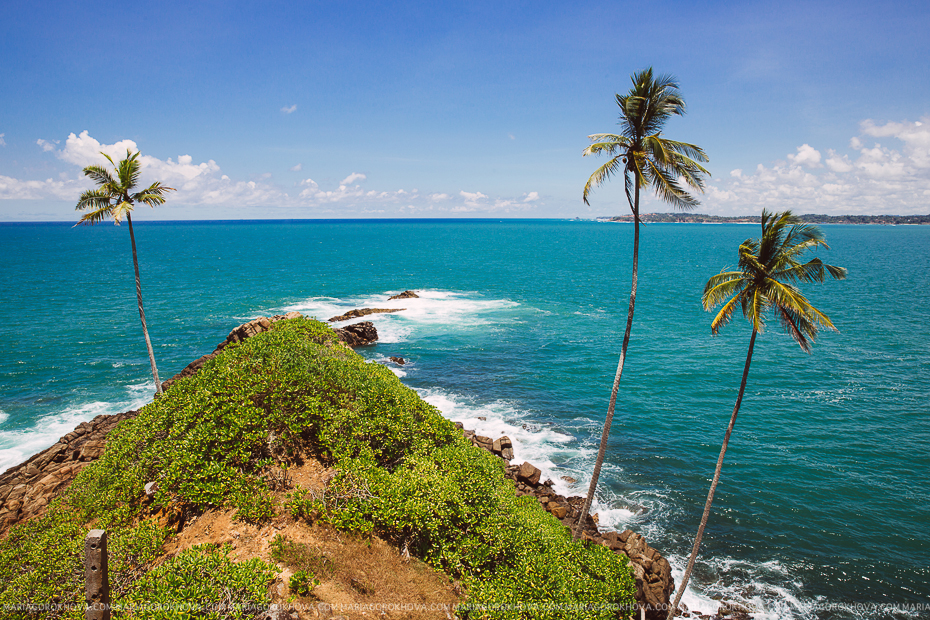 Шри ланка остров вулкан. Остров Цейлон Шри Ланка климат. Шри Ланка джунгли. Шри Ланка центр острова. Шри Ланка Континент.