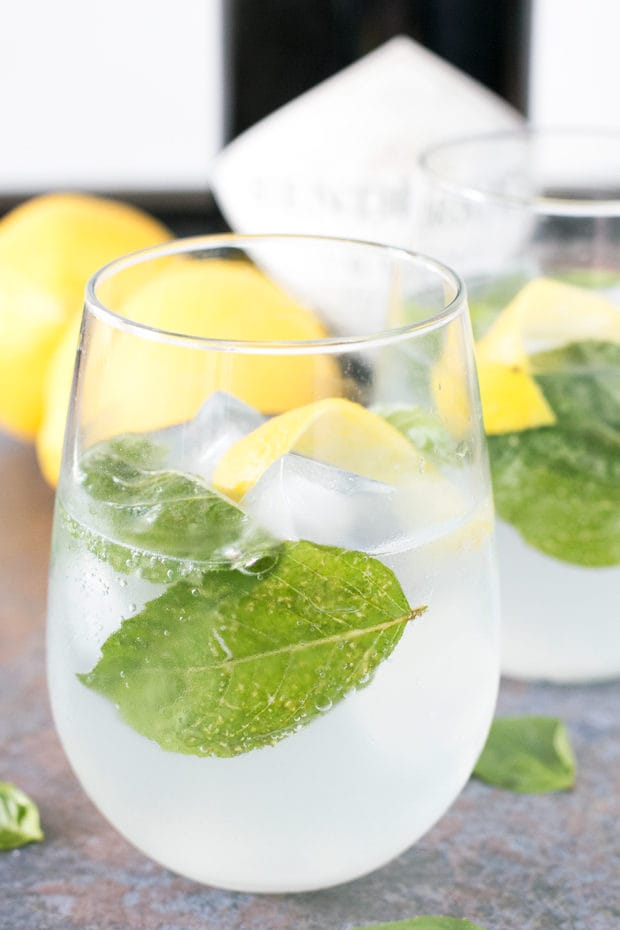 Lemon Basil Gin & Tonic drink cocktail lemon basil recipes TAKE