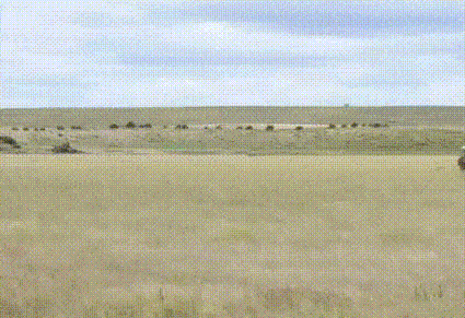 319.gif