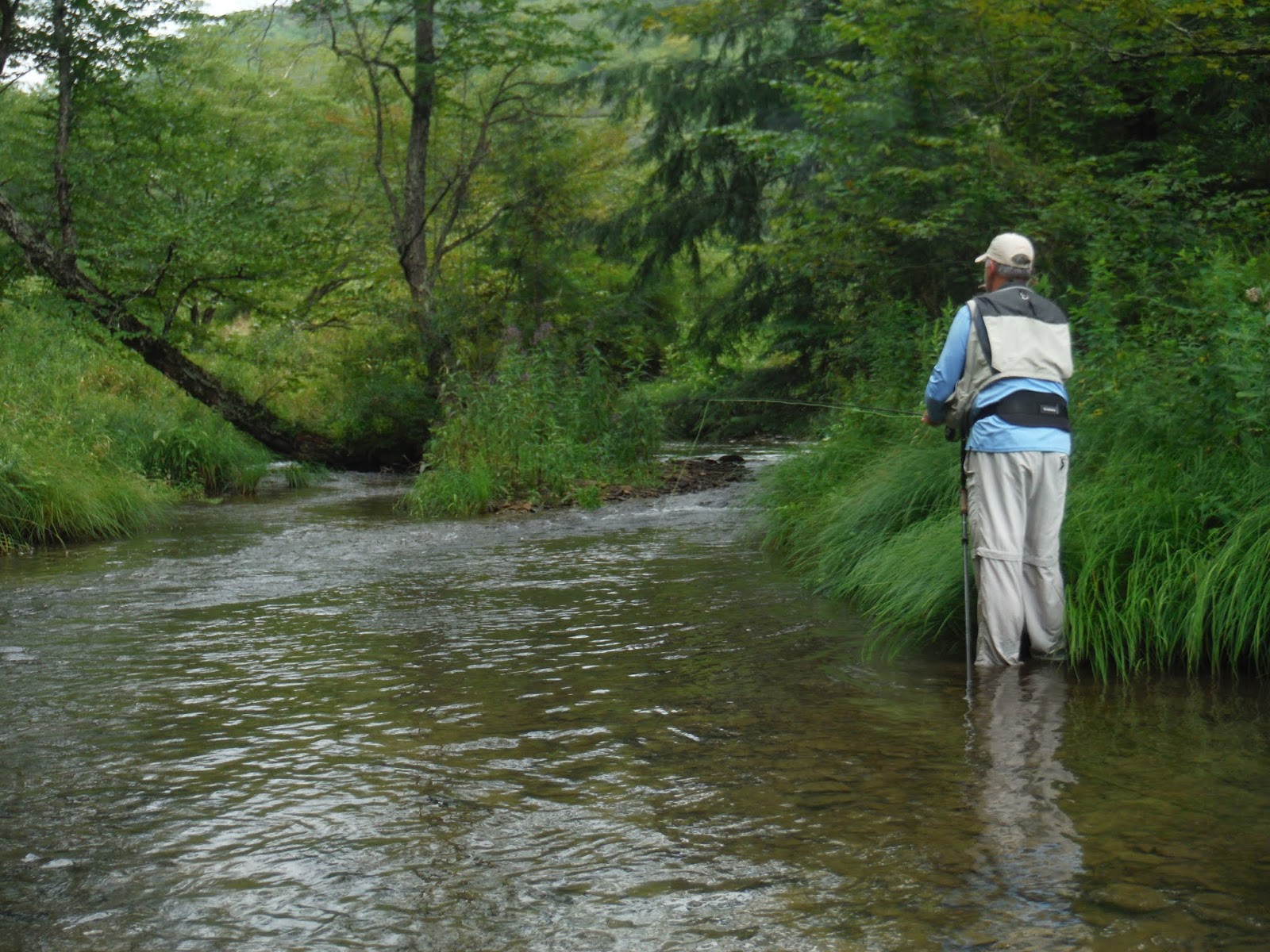 Mikey D Fishing Potter County Fishing Report Return to Upper Kettle Creek