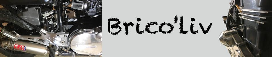 Brico'liv