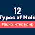 12 Common Types of Mold Found in the Home #infographic