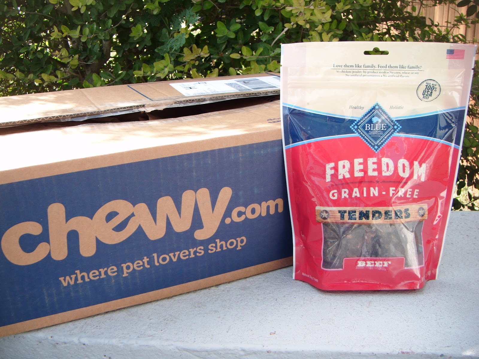 chewy blue buffalo freedom