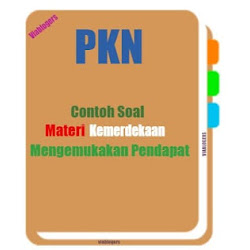 Contoh Soal Materi Kemerdekaan Mengemukakan Pendapat Viablogers