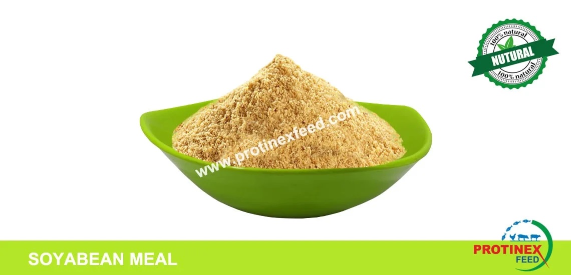 Soyabean Meal Livestock Feed Ingredient