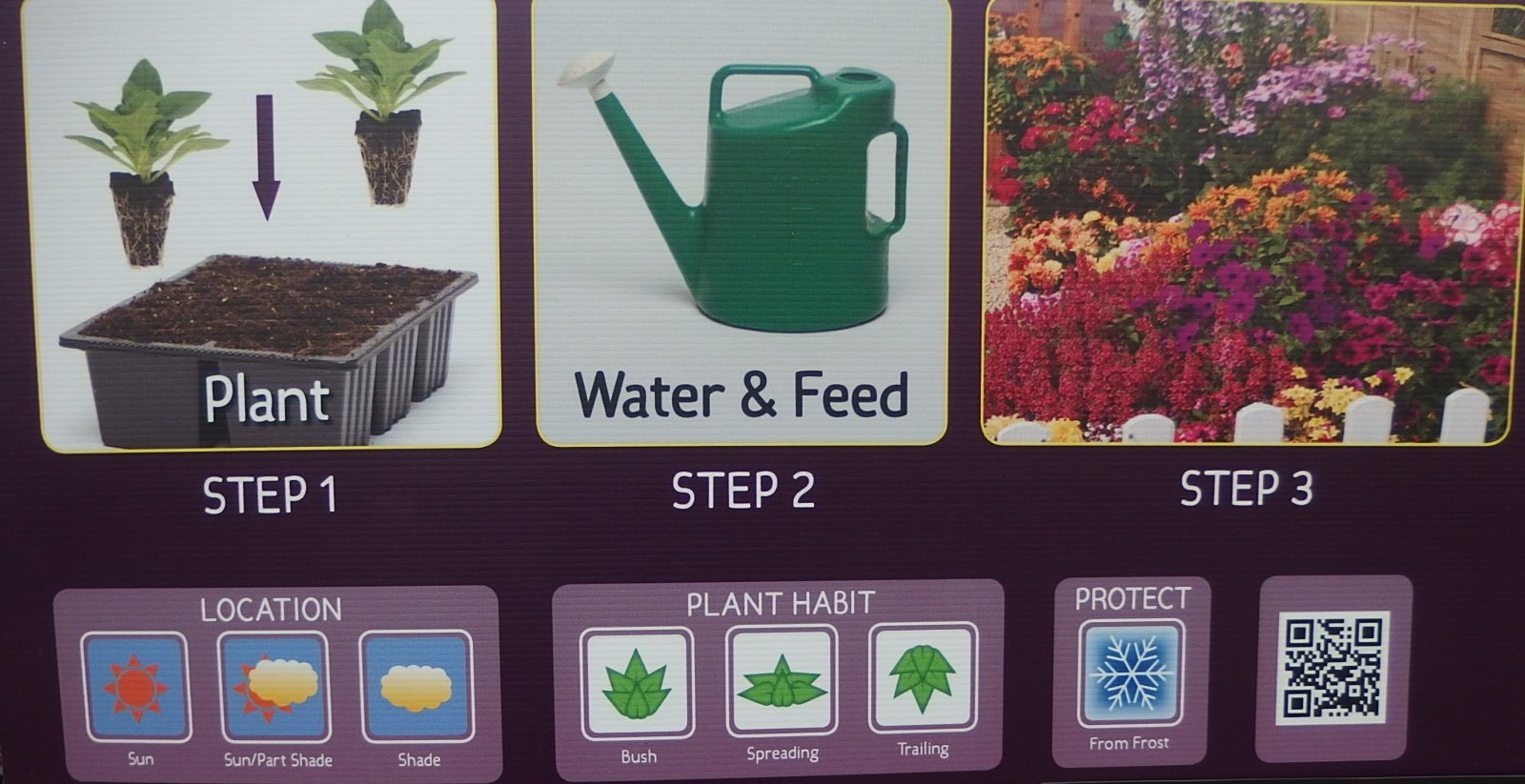 Plant Profiles Starter Plants