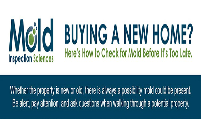 Buying a New Home? Here’s How to Check for Mold Before It’s Too Late 