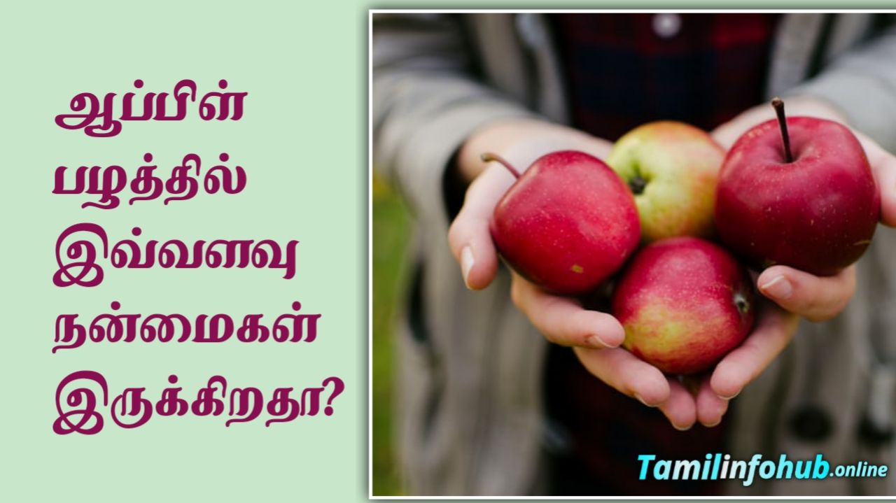 Apple fruit benefits in tamil