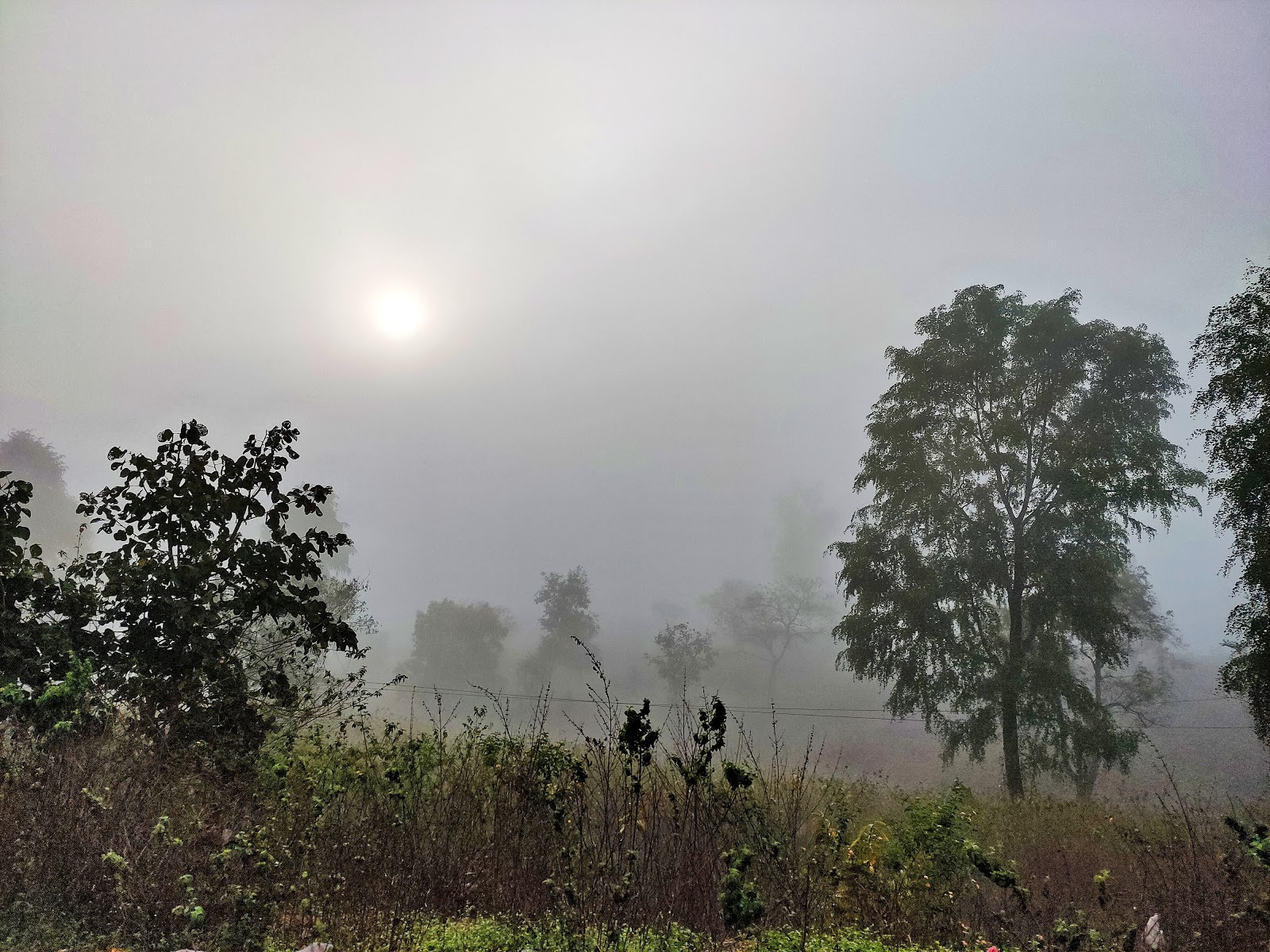 One Misty Morning