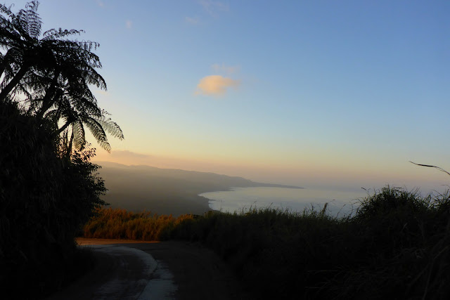 2016090161tanna.JPG