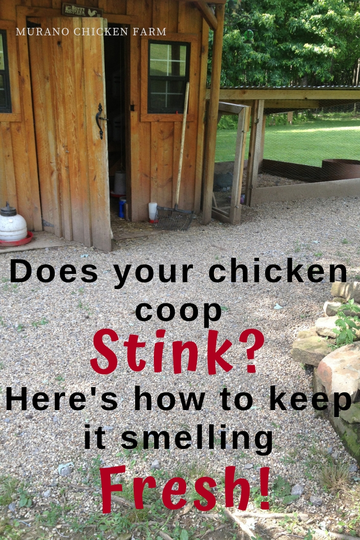 Does your chicken coop stink? Murano Chicken Farm