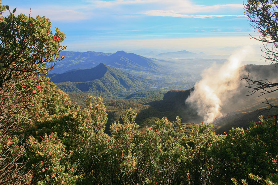 TAMAN NASIONAL GUNUNG GEDE-PANGRANGO - Wisata Indonesia