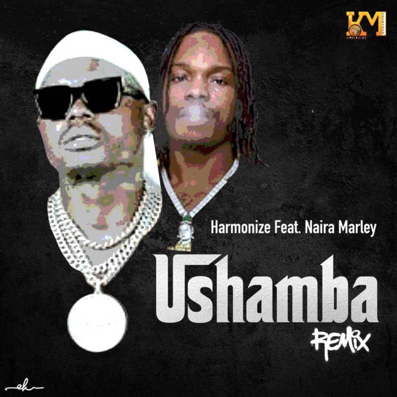 [Music] Ushamba (Remix) - Harmonize Ft Naira Marley