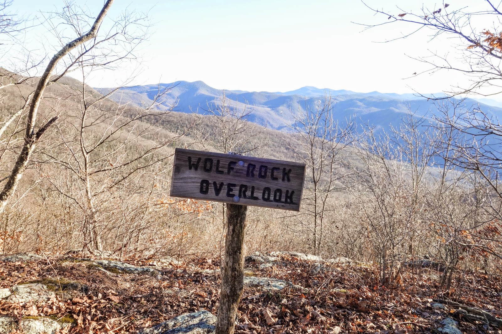 Wolf. Rock Overlook