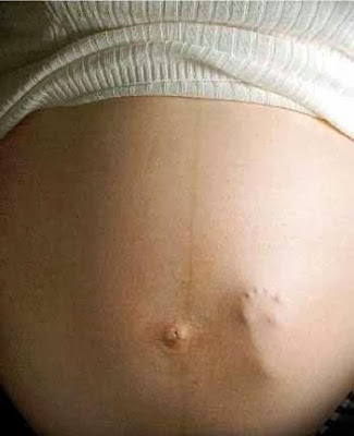 Funny Babies: Chuck Norris' Son to be born