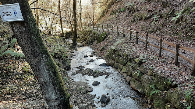 giro lago di levico