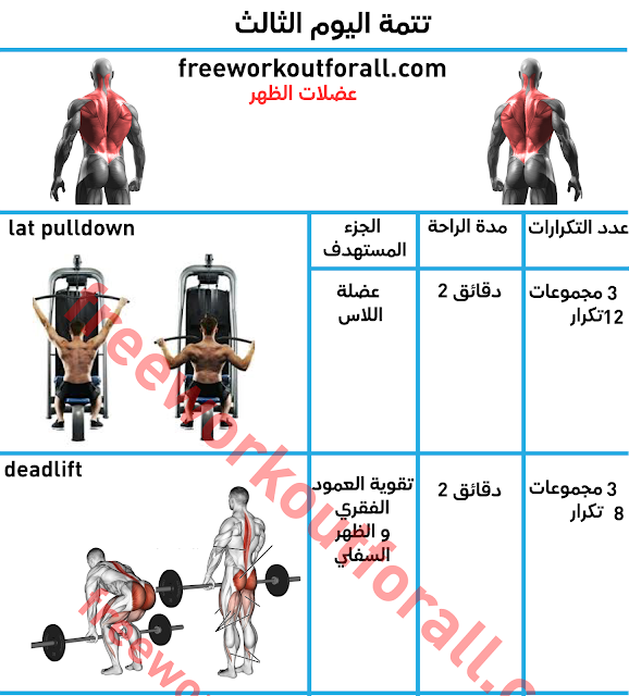 افضل جدول تمارين كمال الاجسام 5 ايام