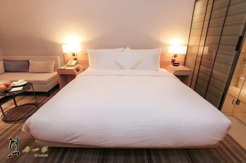 台北出差旅遊交通便利住宿|Hotel Cozzi和逸台北民生館|房型