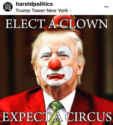 Best Funny Donald Trump Memes Donald Trump Memes Trump Memes 100