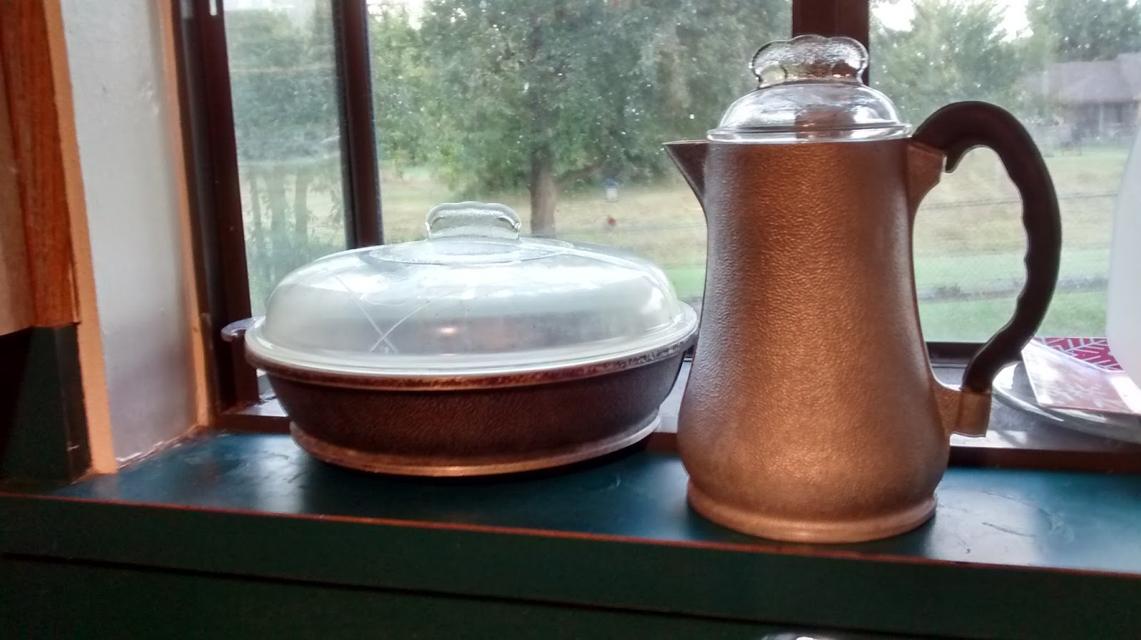 Organize This with Style! (aka Org This) Guardian Service Cookware