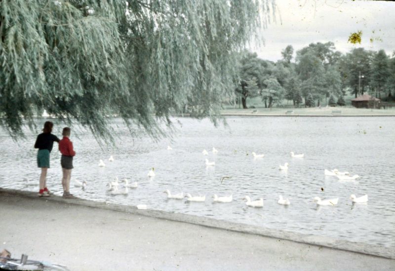 Old Photos from Montreal 1950s