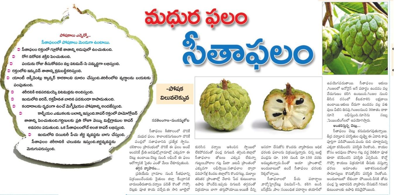 10 Amazing Health Benefits Of KING OF FRUITS Custard