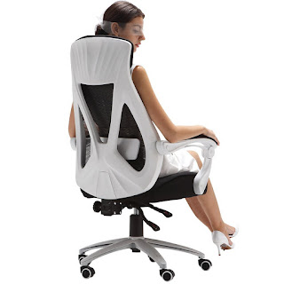 User and Hbada Ergonomic office Chair, Hiback Adjustable