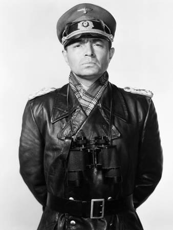 Erwin rommel significance image