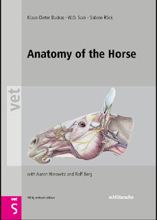 Anatomy of the Horse 5th Edition Anatomy of the Horse 5th Edition