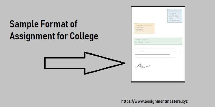 sample format of assignment for college assignment masters college assignment format