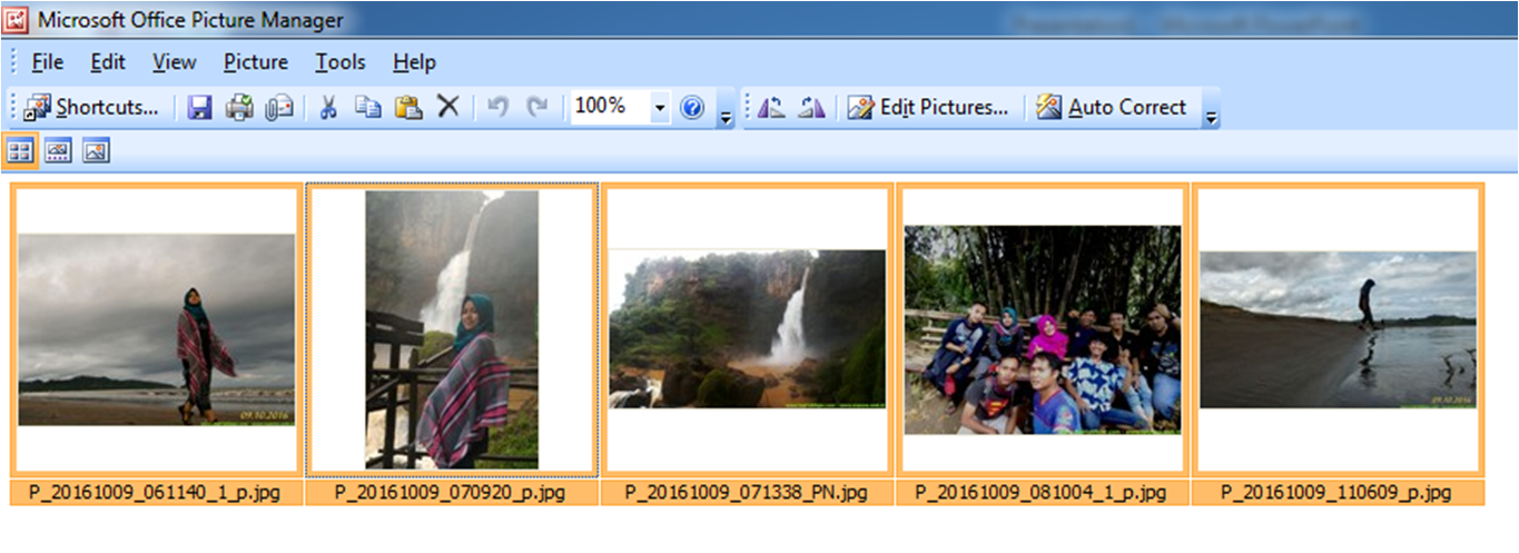 Редактор фото Microsoft picture Manager. Программа для просмотра изображений Microsoft Office picture Manager. Программа для просмотра фото Майкрософт. Просмотр фото программа Microsoft.