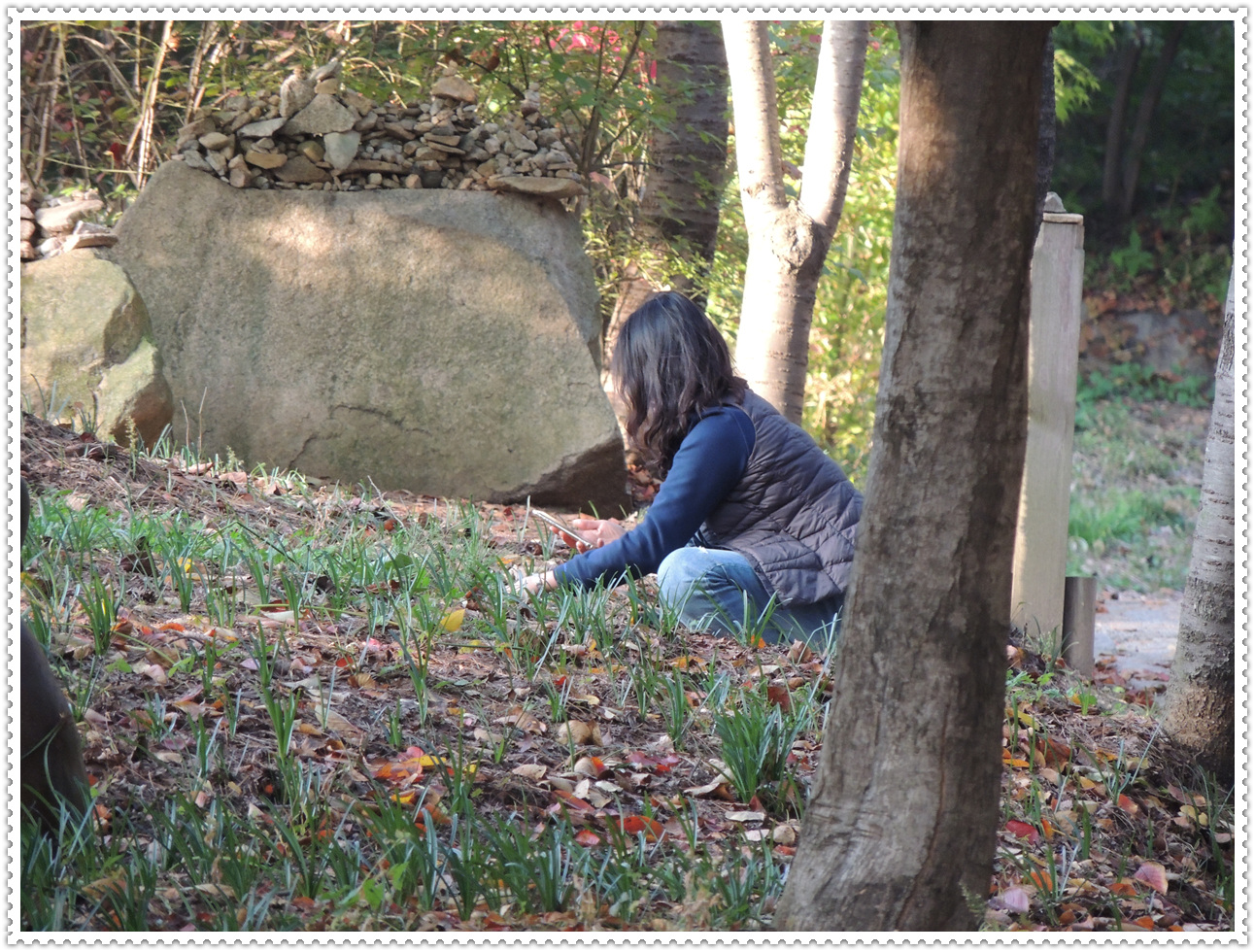 예산 덕숭산 수덕사