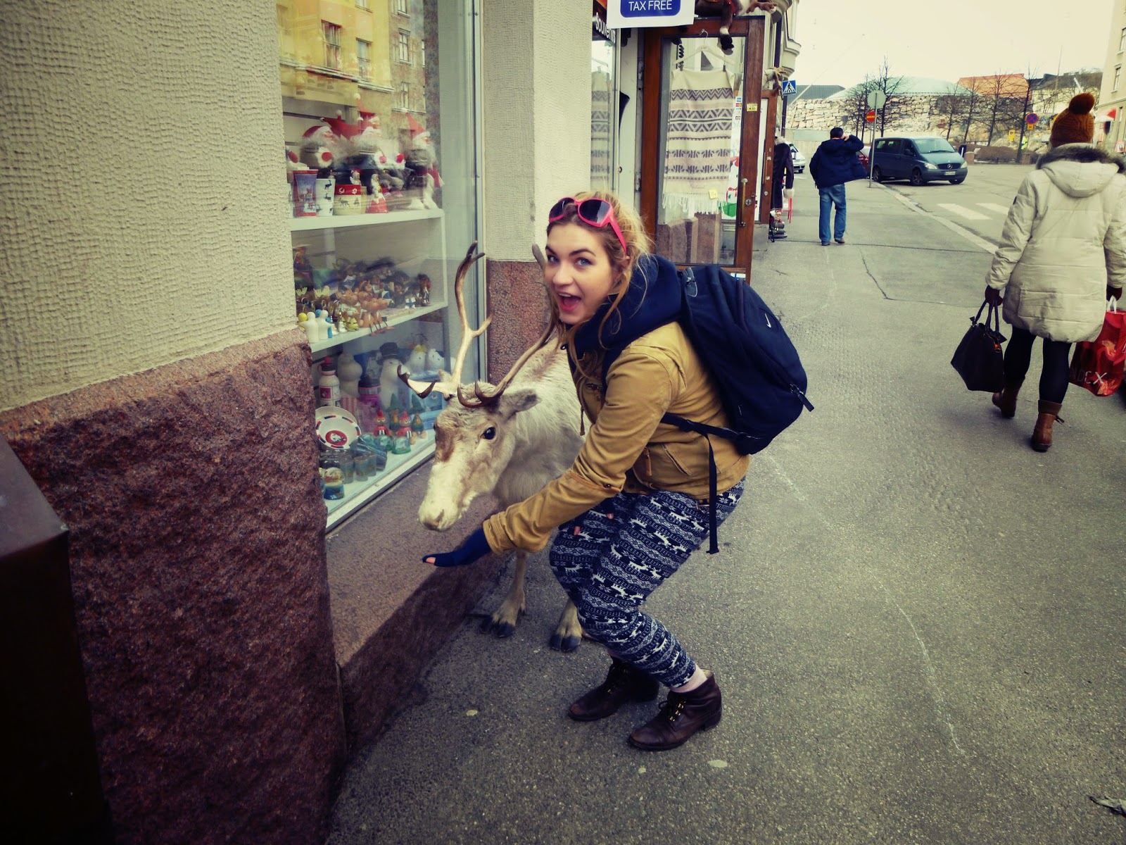 Reindeer Helsinki reindeer helsinki
