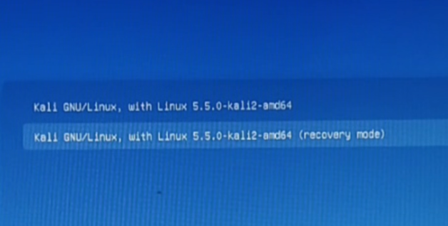 recovery mode kali linux