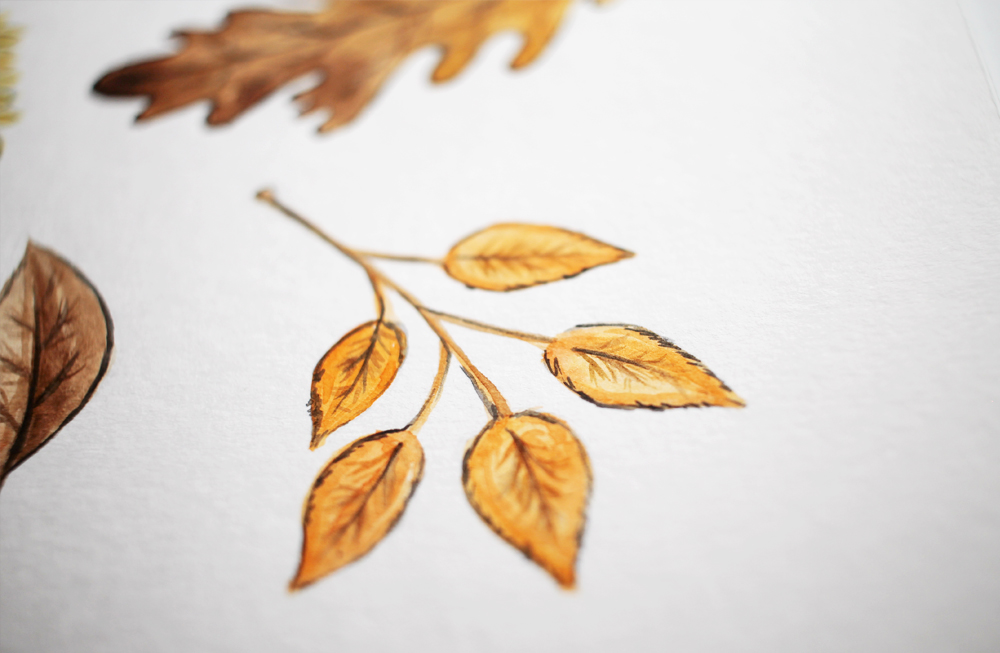 Dibujando experimentando acuarela dibujo otoño