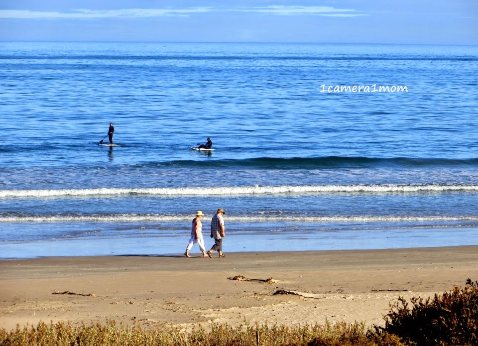 1camera1mom Britannia Bay, South Africa Part 4