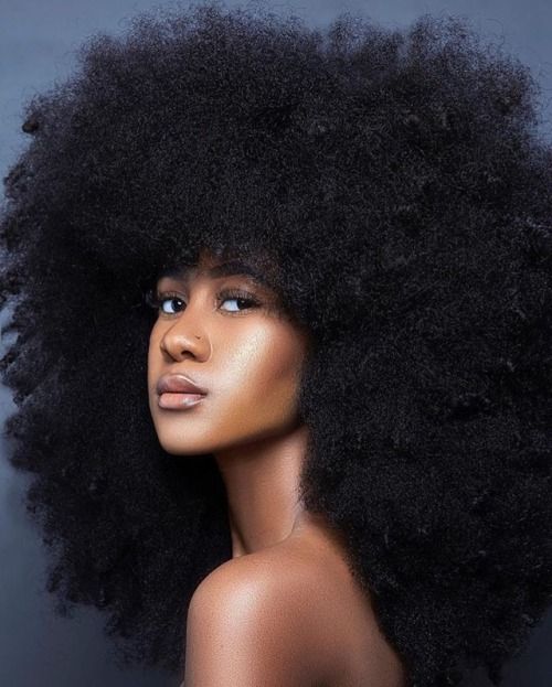 History Of African Hair Hairstory Understanding Why We Were
