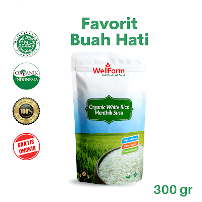 beras organik untuk mpasi Palembang