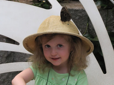 Butterfly Sitting on Little Girl's Hat!